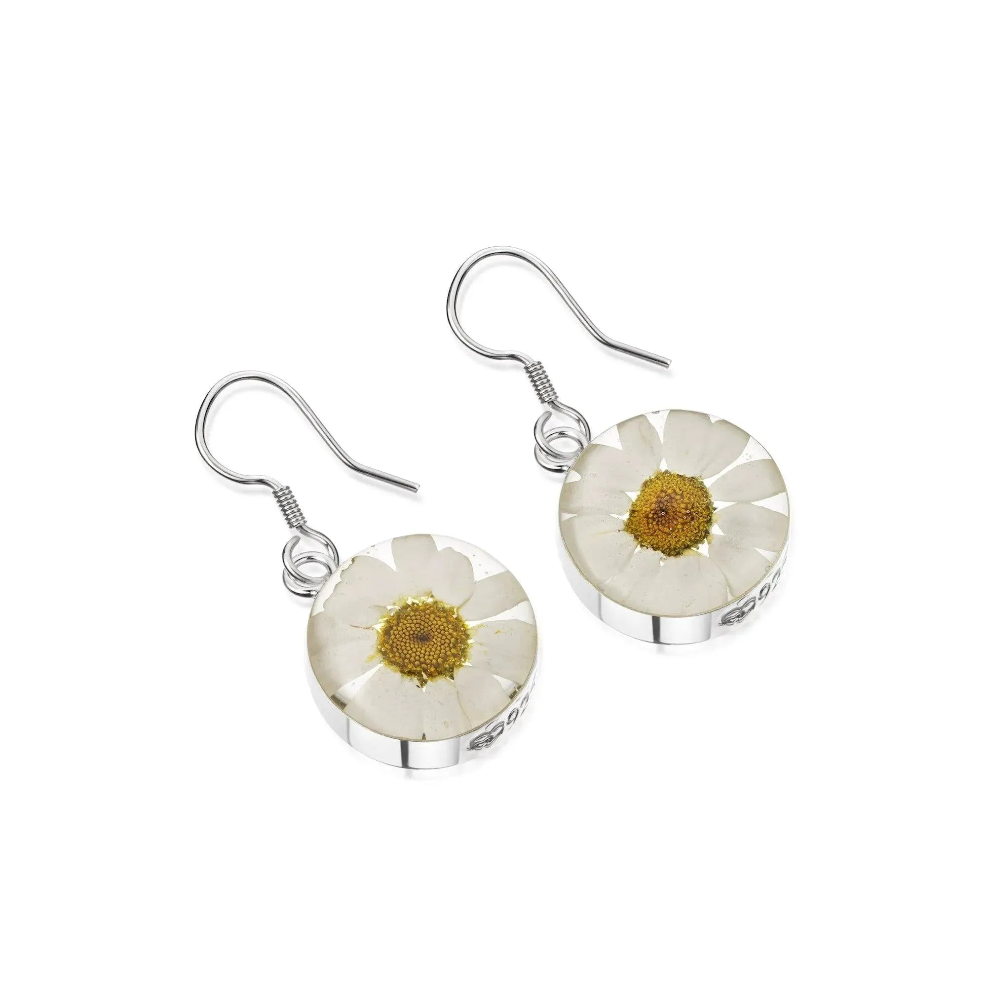 Real Daisy Earrings Sterling Silver